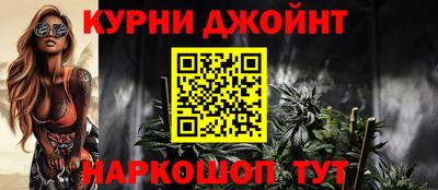спиды Гай