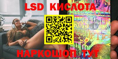 спиды Гай