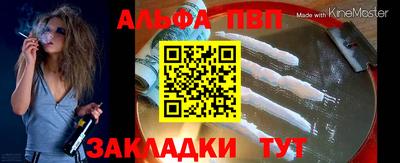 спиды Гай