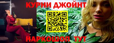 спиды Гай