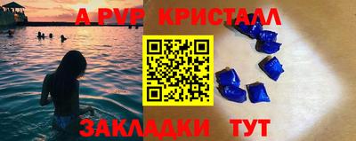 спиды Гай