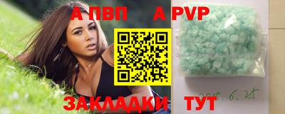 спиды Гай