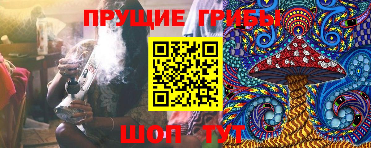 Псилоцибиновые грибы мухоморы Светлоград