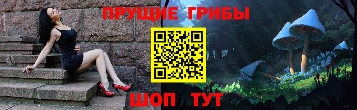 Псилоцибиновые грибы прущие грибы  Вход с VPN  Псилоцибиновые грибы MAGIC MUSHROOMS  Светлоград 